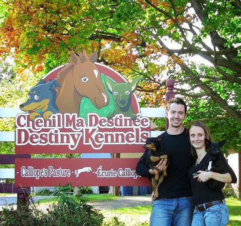 Destiny Kennels